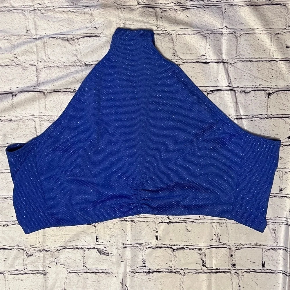 Women’s Time and Tru metallic shiny cobalt blue bikini bottom size 3x (24w-26w)